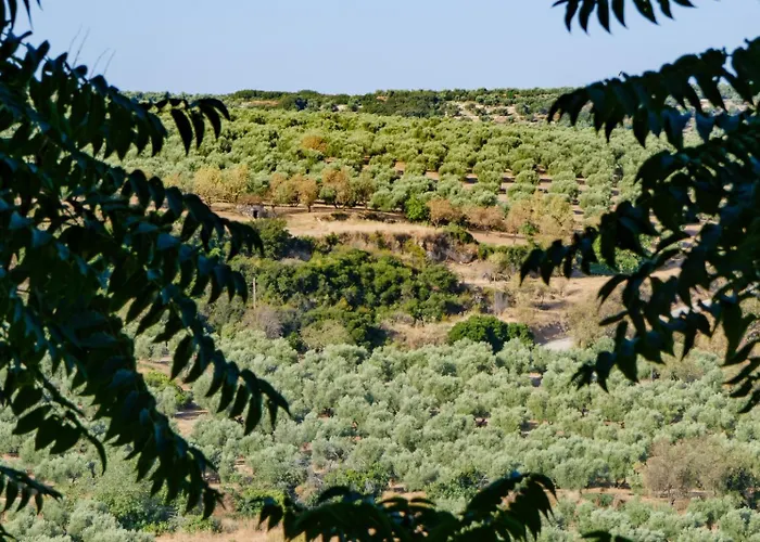 La Alegria De Las Cuevas